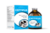 CEFTIFUR - Đặc trị nhiễm trùng hô hấp, viêm móng, viêm khớp, viêm vú