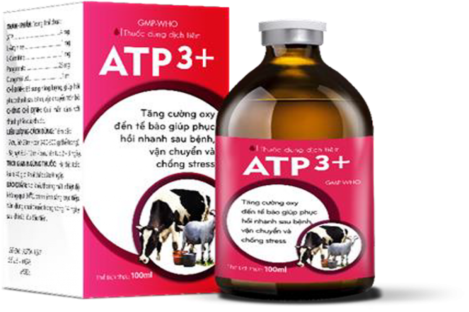 ATP 3+ - Bổ sung năng lượng, giúp hồi phục nhanh sau bệnh