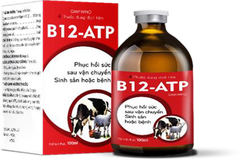 B12-ATP - Chống suy nhược, giúp phục hồi sức khỏe, stress do vận chuyển