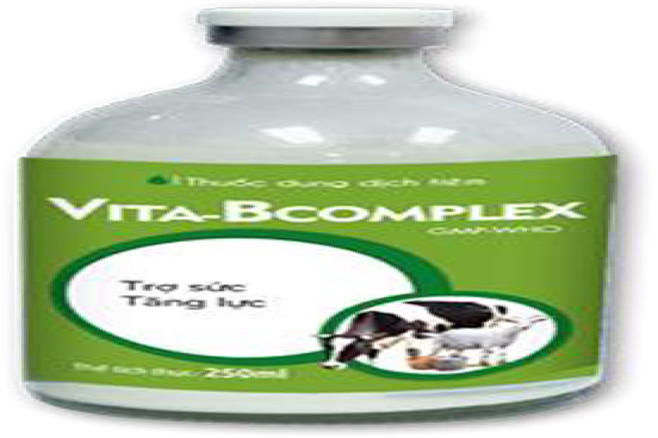 VITA-BCOMPLEX - Phục hồi thú bệnh, mất sức, ngộ độc, biếng ăn. Phòng bệnh về da, rối loạn tăng trưởng