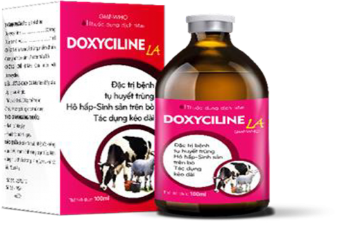 DOXYCILINE-LA - Trị tụ huyết trùng, nhiễm khuẩn đường hô hấp-sinh sản